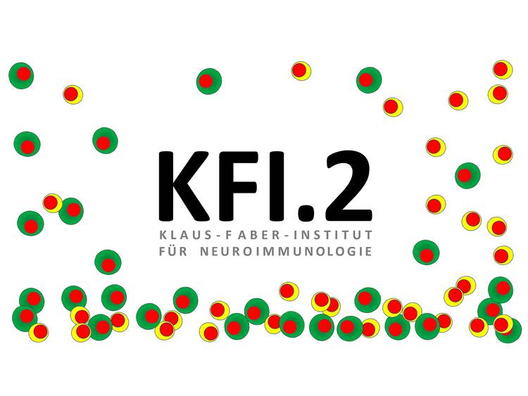 Klaus-Faber-Stiftungsprofessur für Systemische Neuroimmunologie KFI.2
