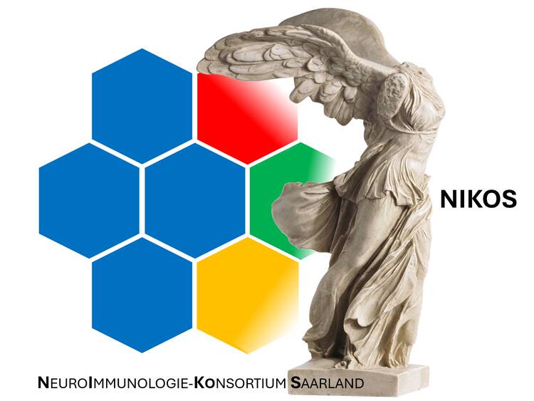 Klaus-Faber-Projekt NIKOS<br>NeuroImmunologie Konsortium Saarland